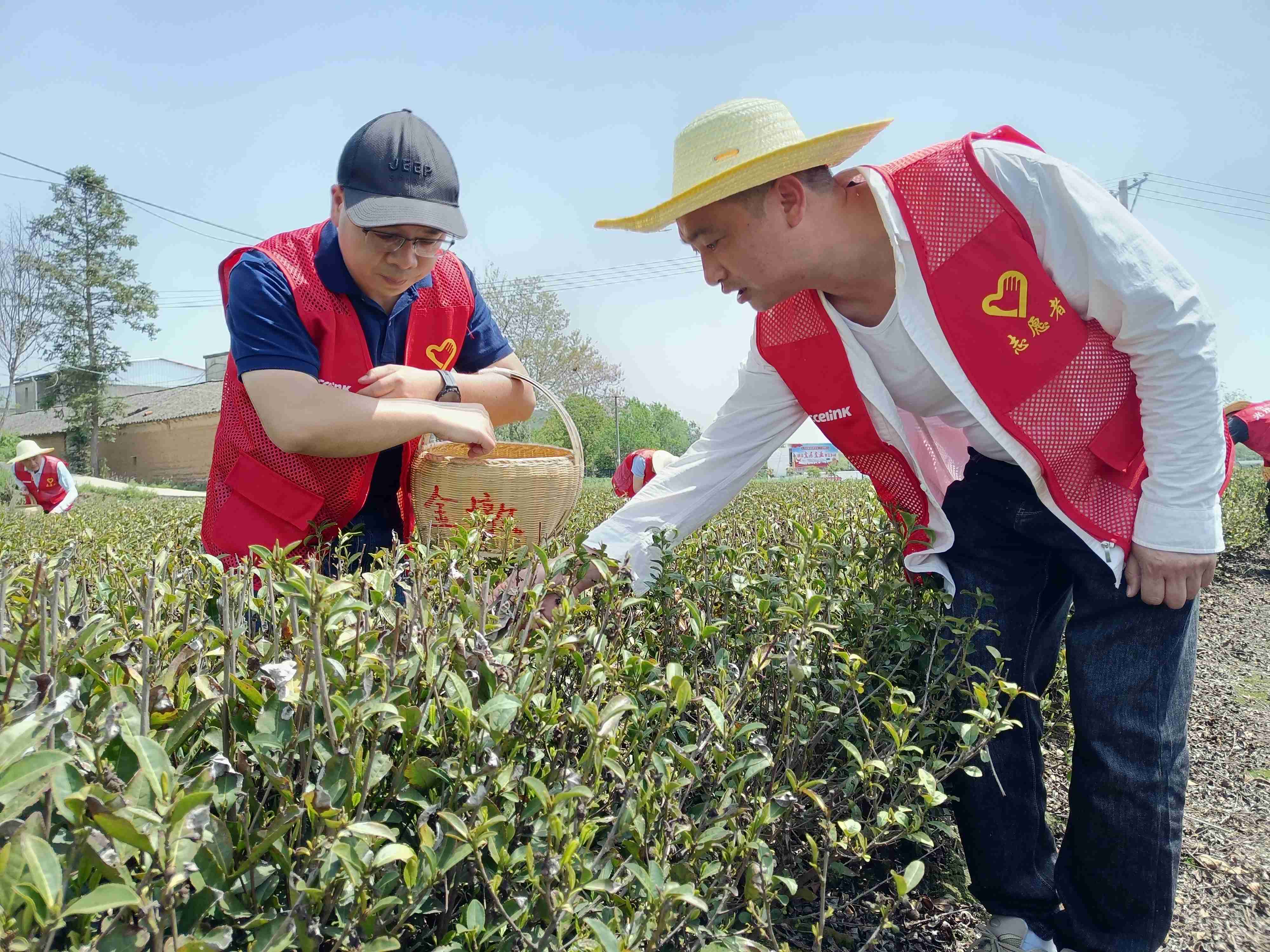 6t����(6TSPORTS)�����Źɷݹ�˾